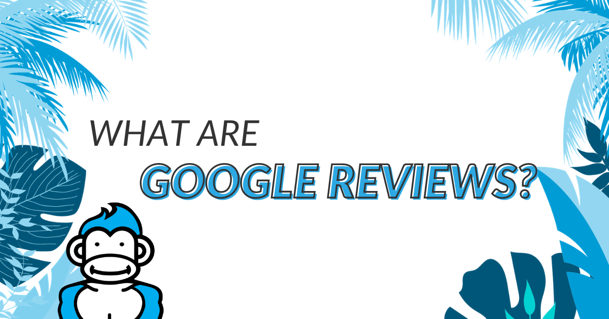 Image displaying the guide title "what are google reviews"