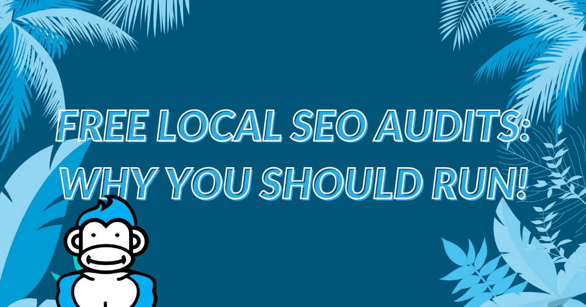 free local seo audits. why you should run